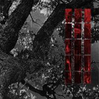 Dead Raven Choir : Sevenfold Songs of Death